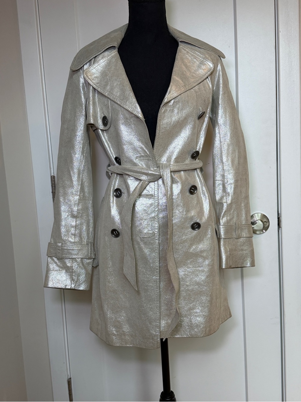 RAW 7 Metallic Silver Leather Trench Coat Skull Silk Lining XS